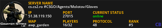 cs.cs2.ro #CSGO/Agents/Molotov/Gloves